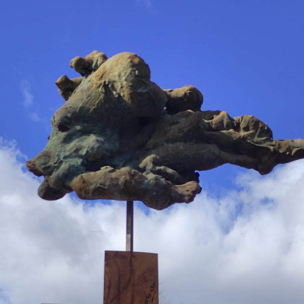 "PEZ DIABLO"        VENDIDO/SOLD